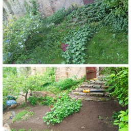 Paula Zygmunt - Zdjęcie 'przed i po' przedstawia zaniedbany ogród przed i uporządkowany ogród po pielęgnacji. Widoczne kwiaty, drzewa, kamienne schody i dmuchawa do liści.