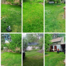 Paula Zygmunt - Koszenie terenu