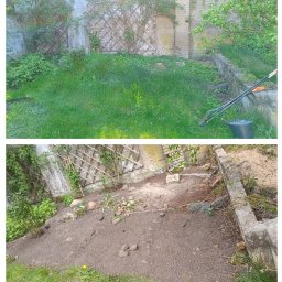 Paula Zygmunt - Oczyszczenie skalniaka z trawy oraz korzeni