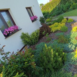 Pielęgnacja ogrodów Bledzew 3