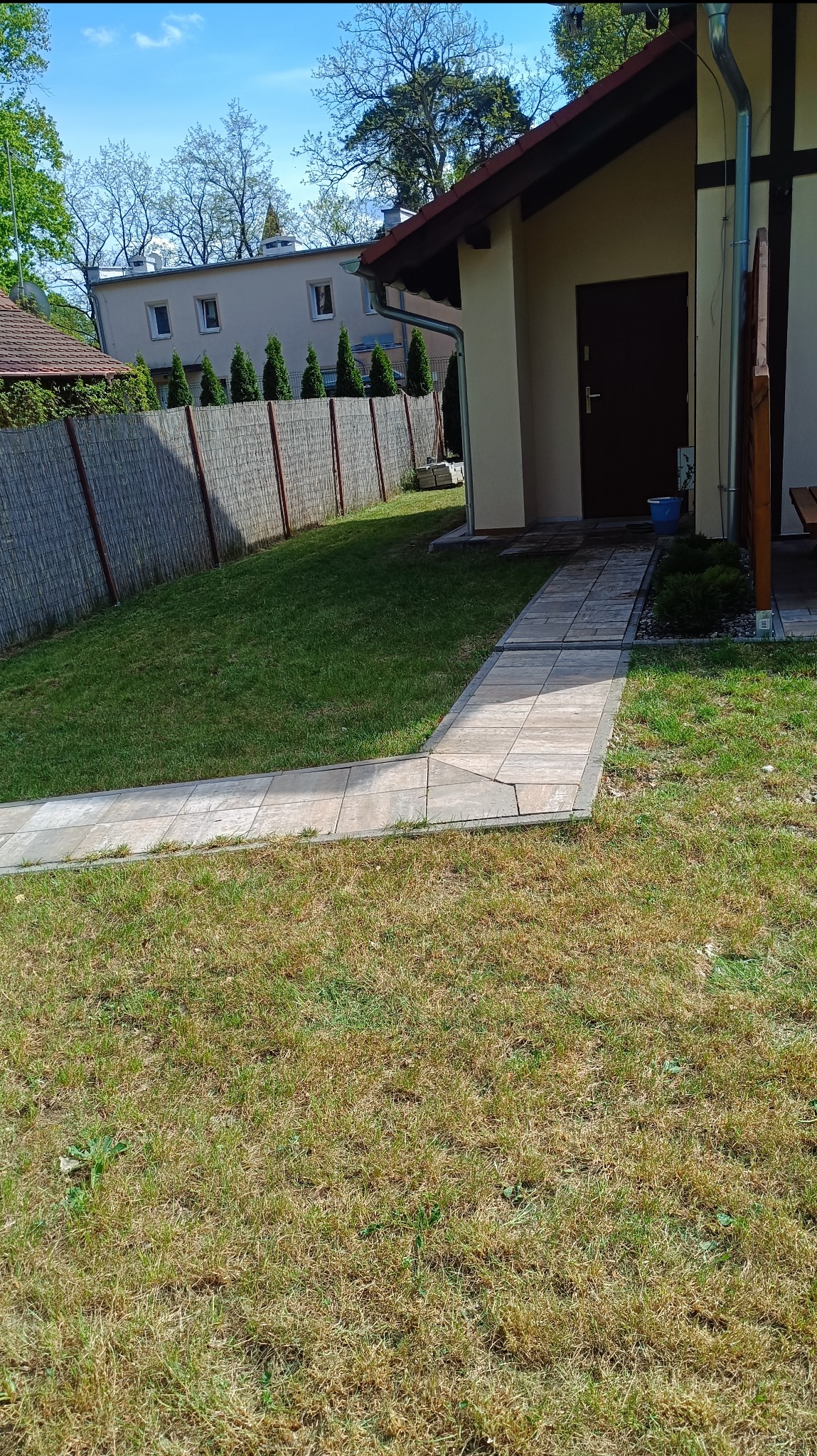 Świeżo skoszony trawnik z wybrukowaną ścieżką w słoneczny dzień. Widoczny budynek z brązowymi drzwiami, zielony żywopłot i częściowo widoczne drzewa.