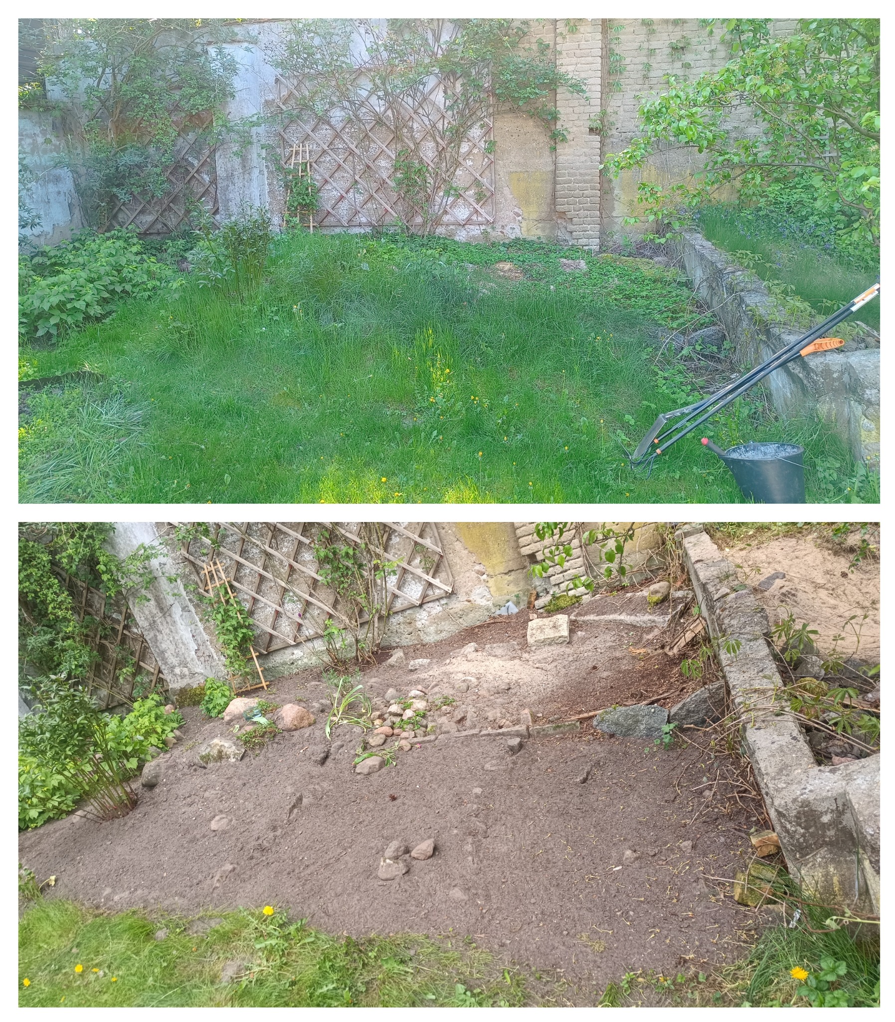 Oczyszczenie skalniaka z trawy oraz korzeni