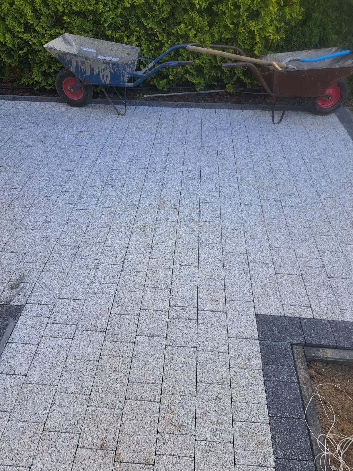 Świeżo ułożona, jasnoszara kostka brukowa z ciemniejszymi obrzeżami. Dwie taczki i narzędzia ogrodnicze stoją na tle zielonego żywopłotu.