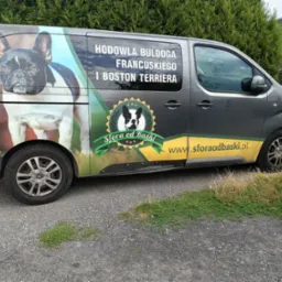 Samochód z reklamą hodowli psów ras buldog francuski i boston terrier 'Sfora od Baśki' w Marklowicach. Na aucie wizerunek psa i adres strony internetowej.