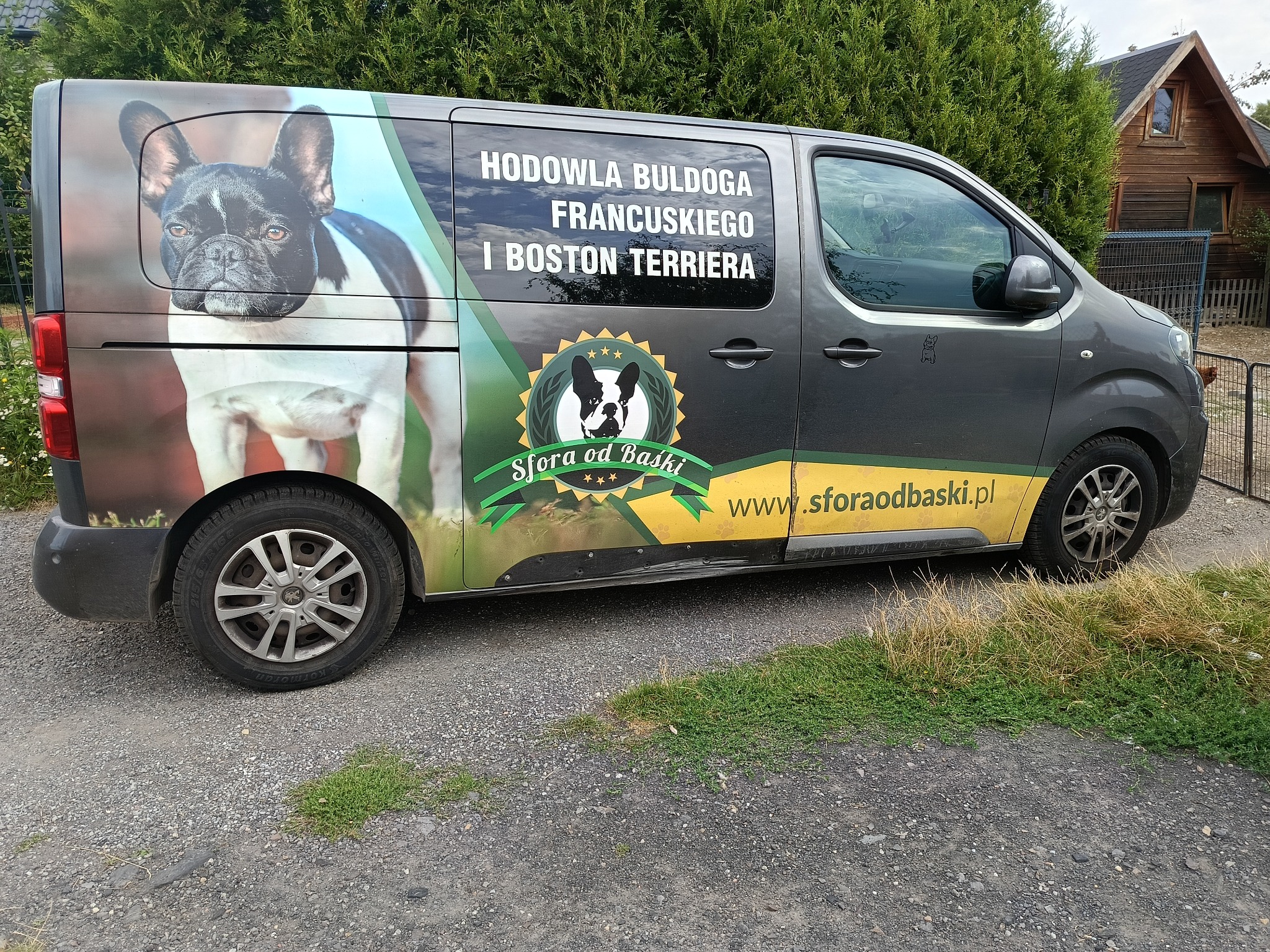 Samochód z reklamą hodowli psów ras buldog francuski i boston terrier 'Sfora od Baśki' w Marklowicach. Na aucie wizerunek psa i adres strony internetowej.