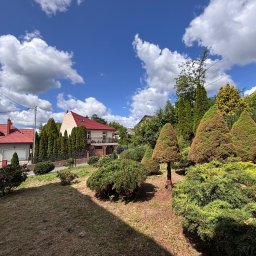 Koszenie trawy Sokołów Małopolski 2