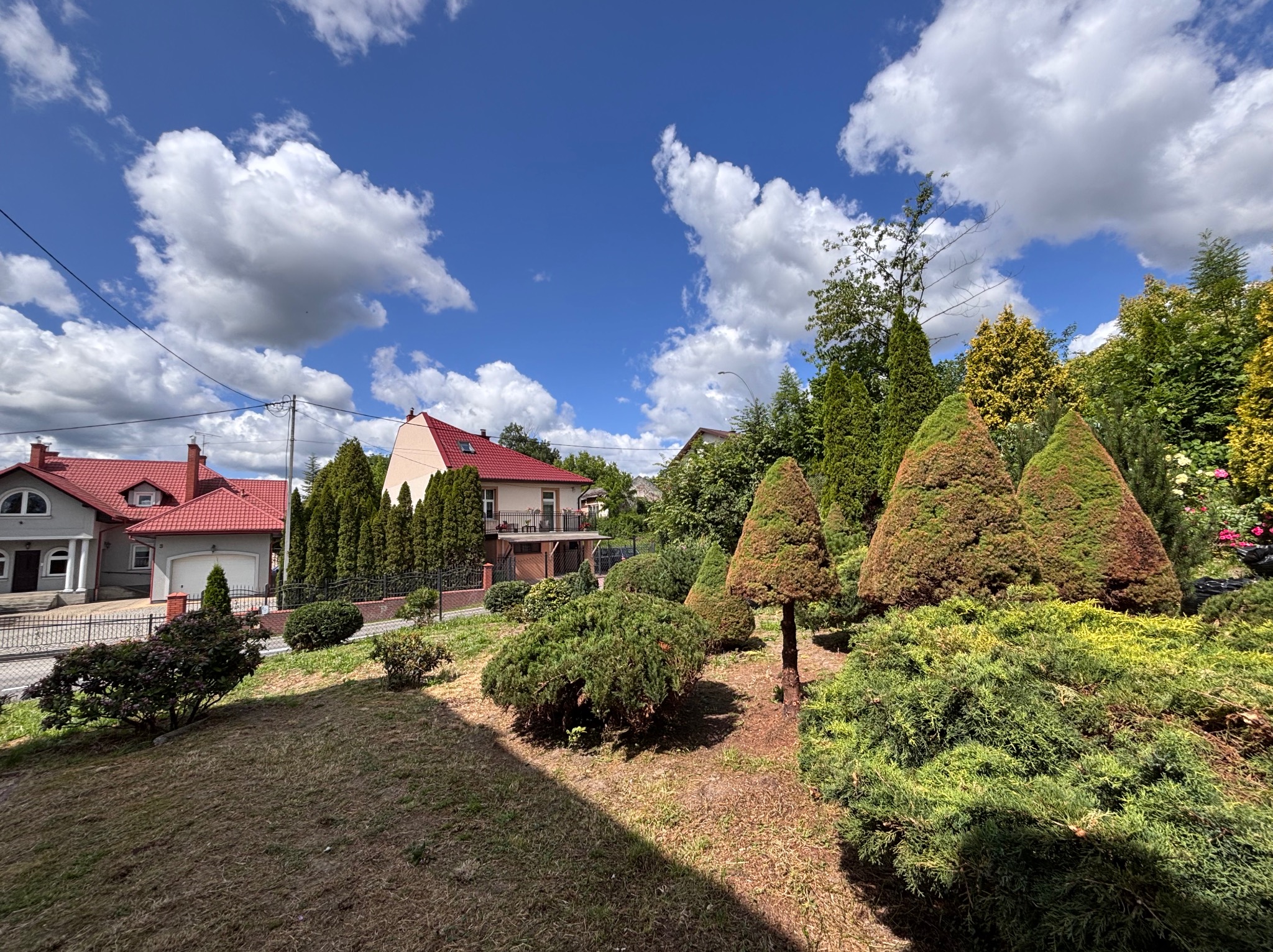 Ogród z formowanymi krzewami w Sokołowie Małopolskim, widok na domy i błękitne niebo z chmurami. Starannie utrzymana zieleń.