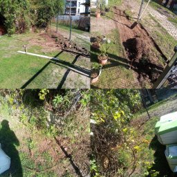 Drzewo PL 76 - Fotografia przedstawia cztery kadry ogrodu w trakcie prac ziemnych: przygotowanie podłoża, przekopywanie, oczyszczanie z chwastów. Widoczna ziemia, rośliny, narzędzia.