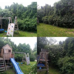 Drzewo PL 76 - Kompozycja 'przed i po': zaniedbany ogród zarośnięty zielenią kontra uporządkowana przestrzeń z elementami placu zabaw, po wykonaniu prac pielęgnacyjnych.