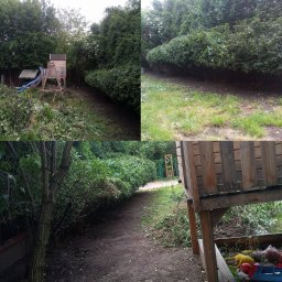 Drzewo PL 76 - Kolaż czterech ujęć ogrodu: przycięty żywopłot, ślady po cięciu, ścieżka wzdłuż krzewów i plac zabaw z zabawkami w tle. Prace ogrodnicze.