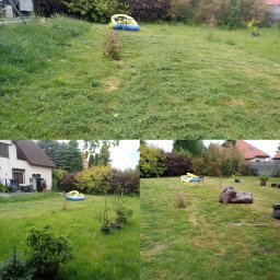 Drzewo PL 76 - Zdjęcie 'przed i po' koszenia trawy na posesji z domem. Na trawniku stoi dmuchany basen i stolik. W tle widoczne drzewa i krzewy, a także worki ze skoszoną trawą.