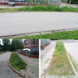 Drzewo PL 76 - Kompozycja czterech ujęć: trawa przed i po skoszeniu wzdłuż chodnika, kosiarka i taczka z trawą, oraz widok na ulicę z zarośniętym poboczem.