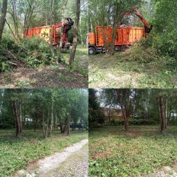 Drzewo PL 76 - Pomarańczowy samochód z dźwigiem zbiera gałęzie. Na ziemi leżą pocięte resztki drzew i gałęzi. Widok na teren po wycince z fragmentem ścieżki i zabudowań w tle.