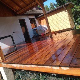 Wycinka drzew Warszawa 1