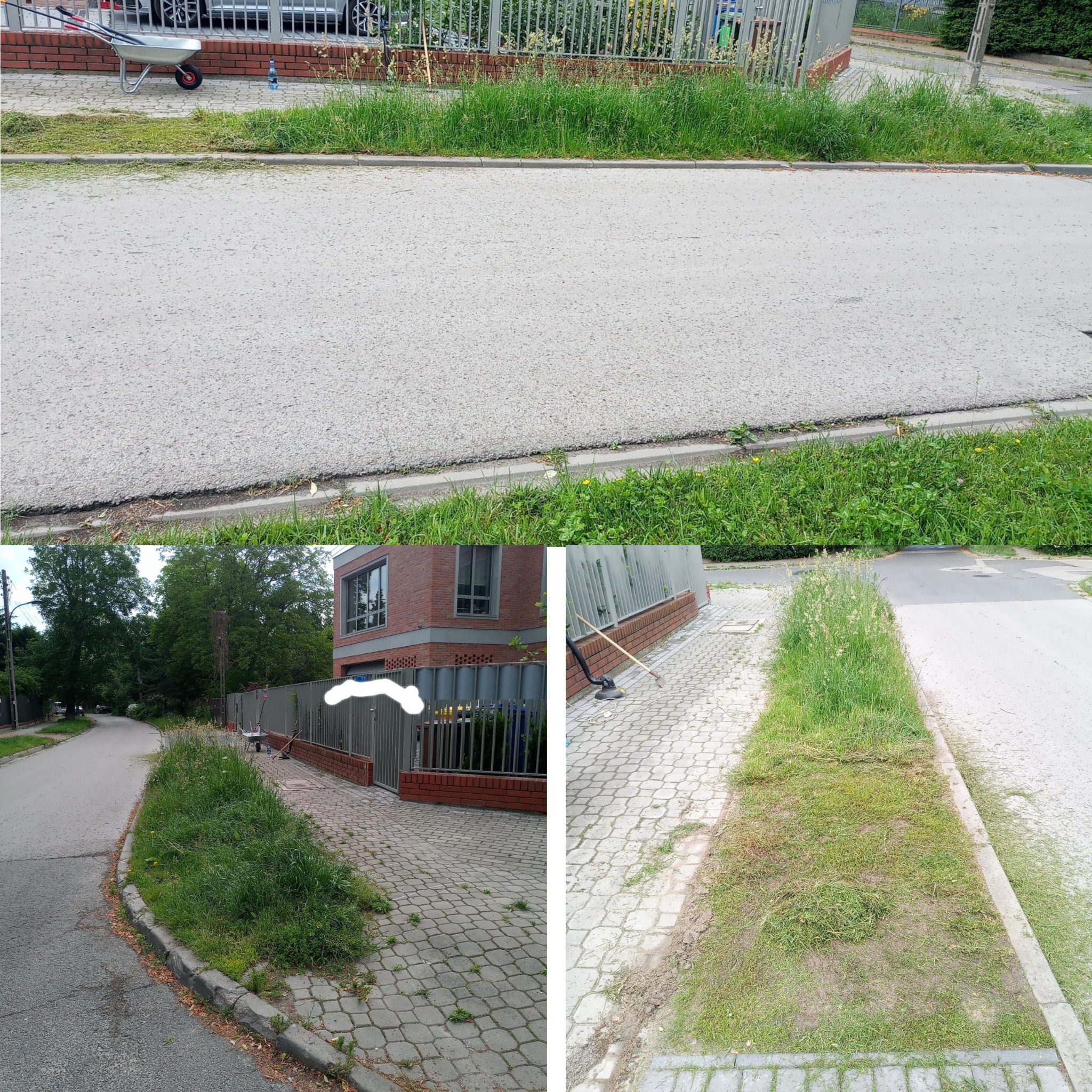 Kompozycja czterech ujęć: trawa przed i po skoszeniu wzdłuż chodnika, kosiarka i taczka z trawą, oraz widok na ulicę z zarośniętym poboczem.