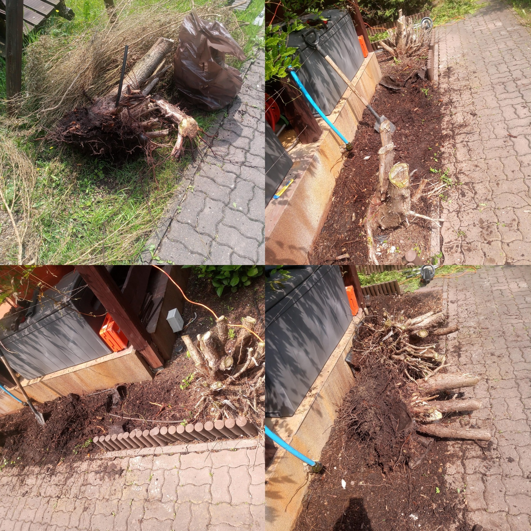 Kompilacja: wykopane drzewo z korzeniami, pocięte gałęzie, pień po wycince, narzędzia ogrodnicze. Prace ziemne w ogrodzie, przygotowanie terenu pod nasadzenia.