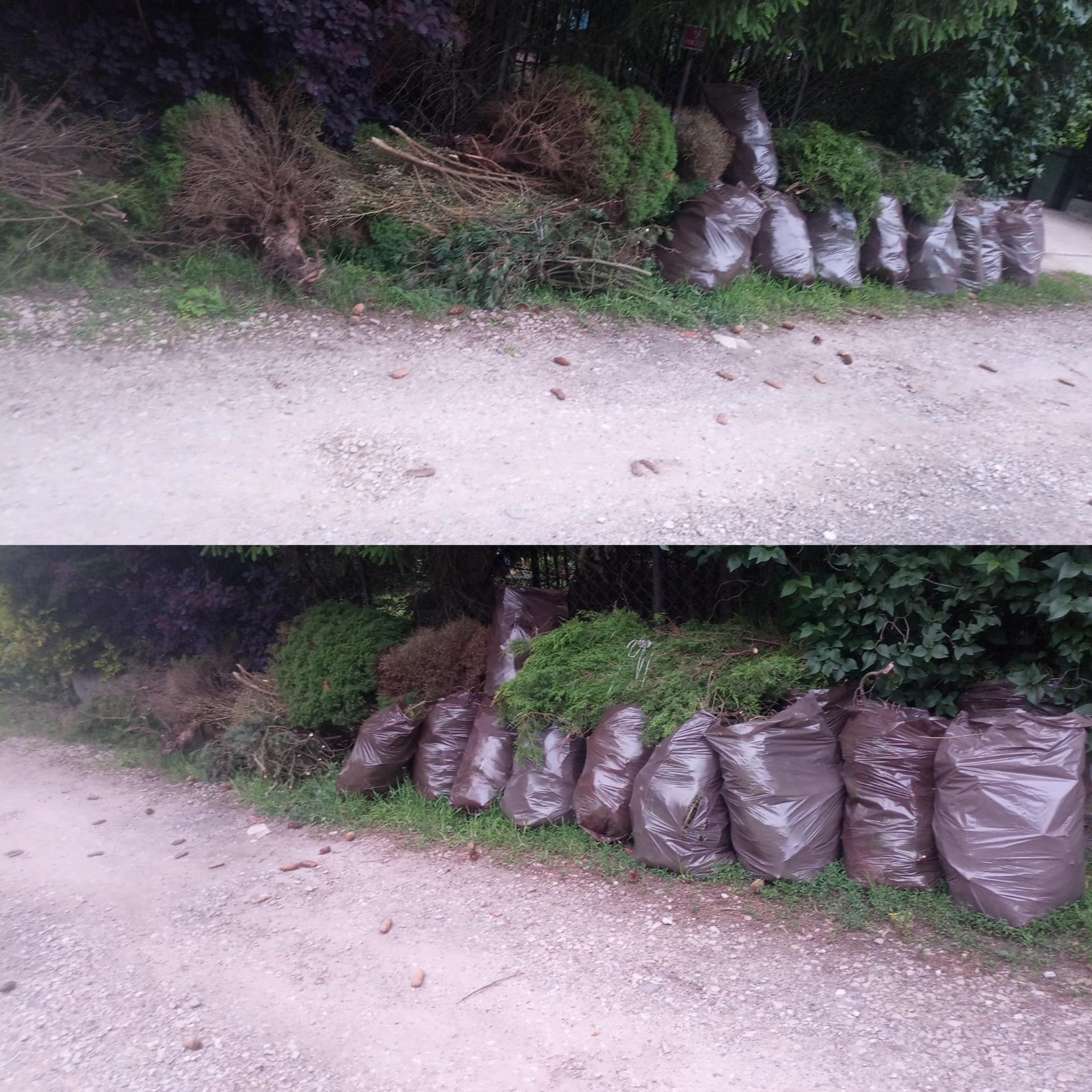 Stosy gałęzi i worki z odpadami zielonymi przy drodze gruntowej, po wycince lub przycinaniu drzew i krzewów. Widoczne szyszki na ziemi.