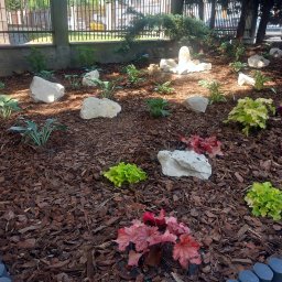 Tak wyglada ogrod po przemianie. Rosliny dostosowane do stanowiska cienistego oraz kamienie rozjasniajace tło i dajacy piekny kontrast