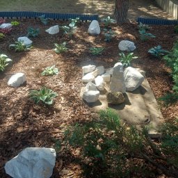 Zakładanie ogrodów Kraków 2