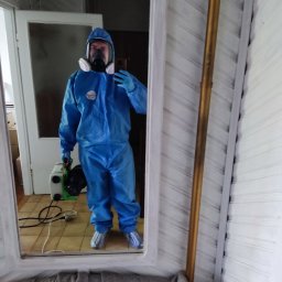 Dezynsekcja i deratyzacja Lubotyń 1