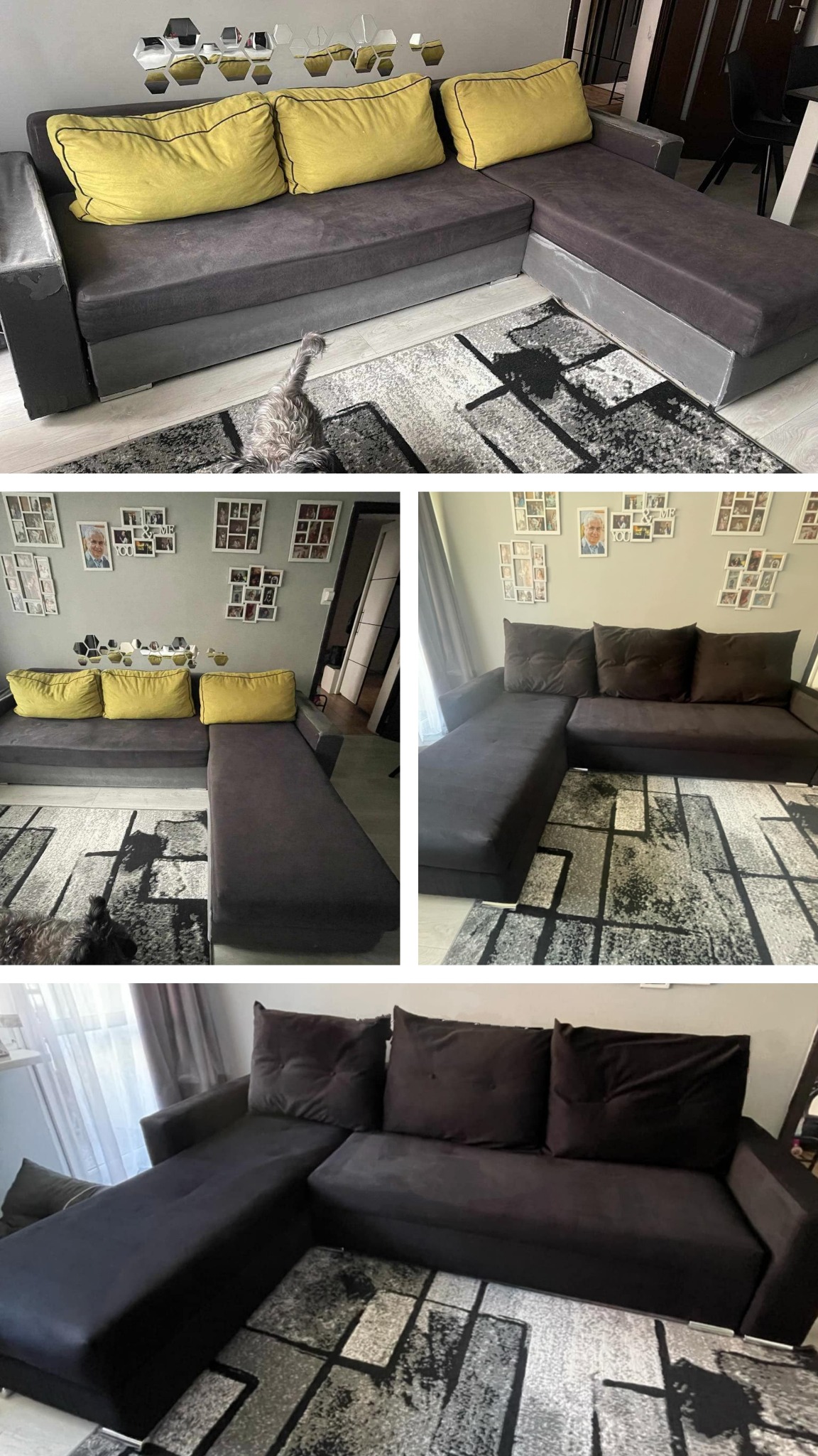 Ciemnoszary narożnik z żółtymi poduszkami na wzorzystym dywanie, widoczny z różnych perspektyw. Na pierwszym planie szary pies. Na ścianie dekoracje.