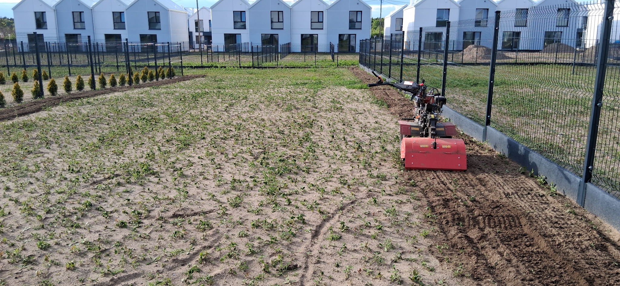 Czerwony glebogryzarek spalinowy w trakcie pracy na polu, przygotowując ziemię pod trawnik. W tle rząd nowych domów i ozdobne tuje wzdłuż ogrodzenia.