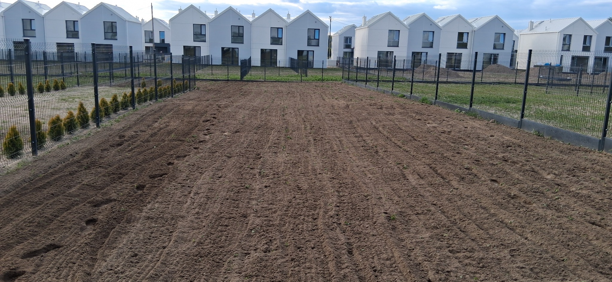 Przygotowane podłoże pod trawnik na tle szeregu domów jednorodzinnych, ogrodzone siatką i obsadzone tujami. Ślady po bronowaniu.