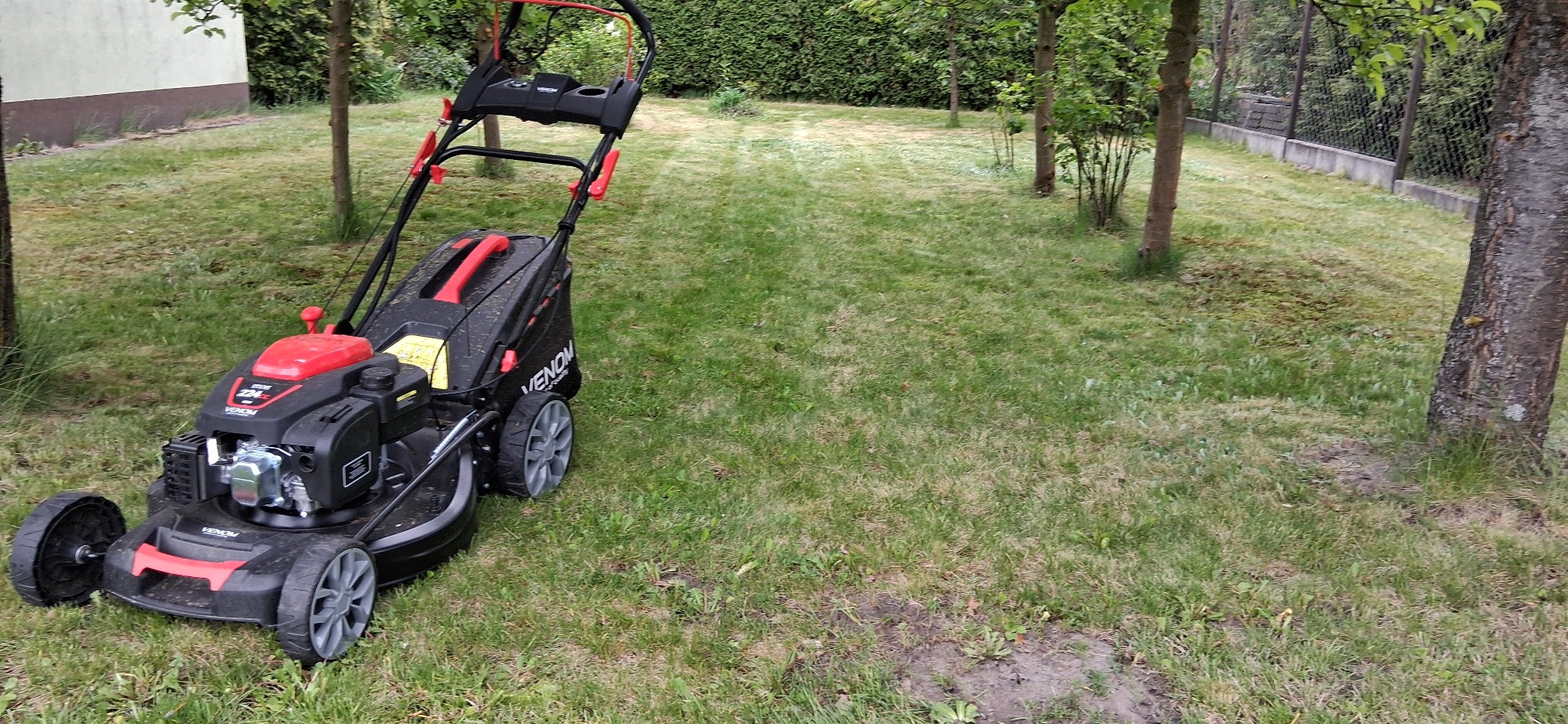 Czarno-czerwona kosiarka spalinowa na trawniku z drzewami. Widoczny fragment trawnika z niekoszoną trawą, sugerujący obszar do pielęgnacji.