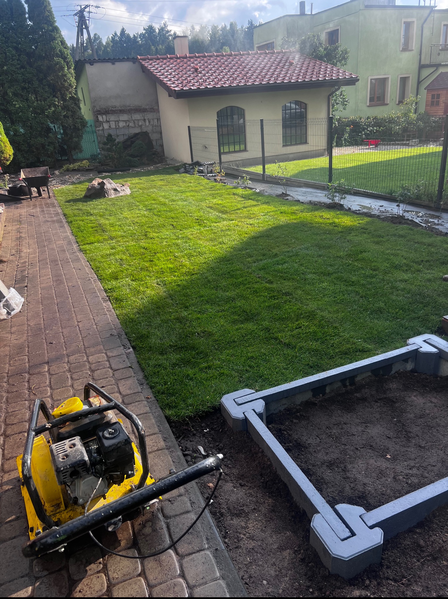 Świeżo założony trawnik w Dywitach, z widoczną ubijarką wibracyjną i obrzeżem rabaty. Trawa soczysta, równo skoszona, w tle budynek z czerwoną dachówką.