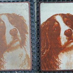 Odpieramy Brzydkie Plamy - Dywanik z wizerunkiem psa Cavalier King Charles Spaniel przed i po czyszczeniu, ukazujący różnicę w kolorze i usunięciu zabrudzeń. Widoczne detale sierści i brązowa obwódka.