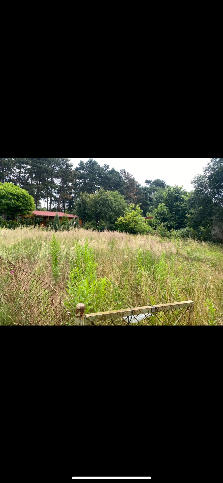 Zarośnięta działka z wysoką trawą i chwastami, widok na dom z czerwonym dachem w oddali, ogrodzenie z siatki w pierwszym planie. Potrzeba koszenia.