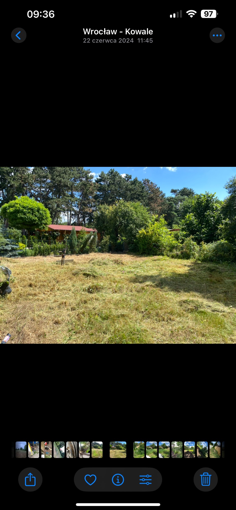 Świeżo skoszone trawnik z widocznymi śladami koszenia, drzewa i krzewy w tle, mała altana z czerwonym dachem. Słoneczny dzień, błękitne niebo.