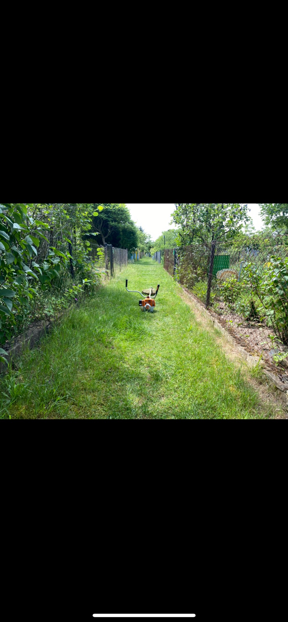 Pomarańczowa kosa spalinowa Stihl leży na trawie w wąskim przejściu między ogrodzeniami z siatki, w tle zieleń drzew i krzewów. Widok z perspektywy.