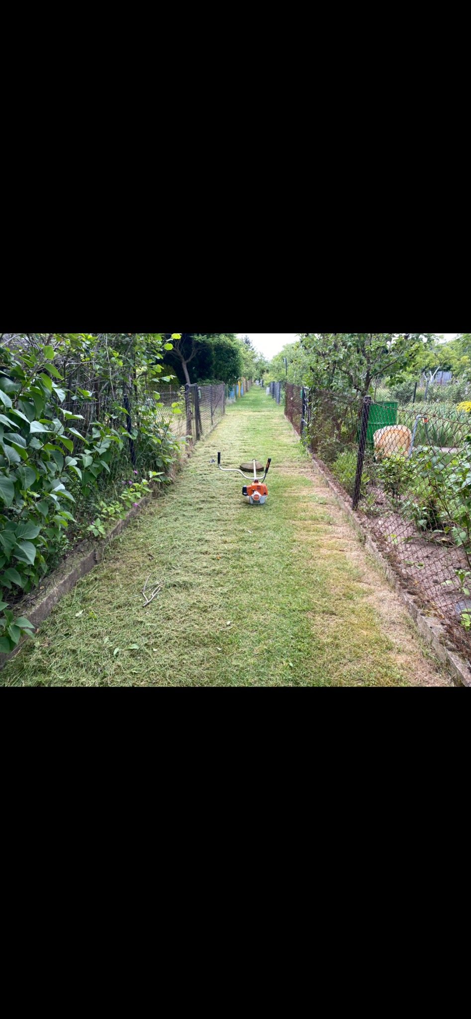 Świeżo skoszona trawa w wąskim przejściu ogrodu, z kosiarką spalinową Stihl w tle. Metalowe ogrodzenie po bokach, bujna roślinność i ślady po koszeniu.