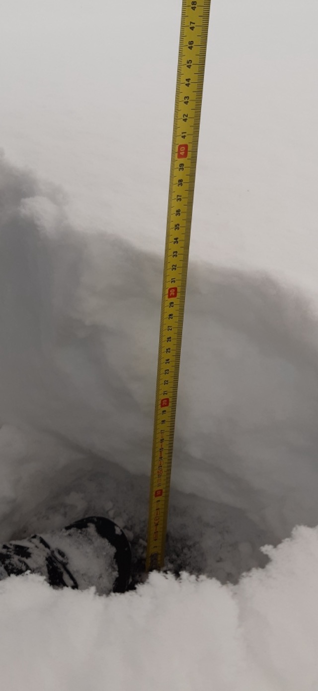 Pomiar grubości pokrywy śnieżnej żółtą miarką, sięgającej prawie 50 cm. Widoczny fragment buta w śniegu. Szaro-biała sceneria zimowa.