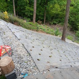 obsadzanie skarpy bukszpanem