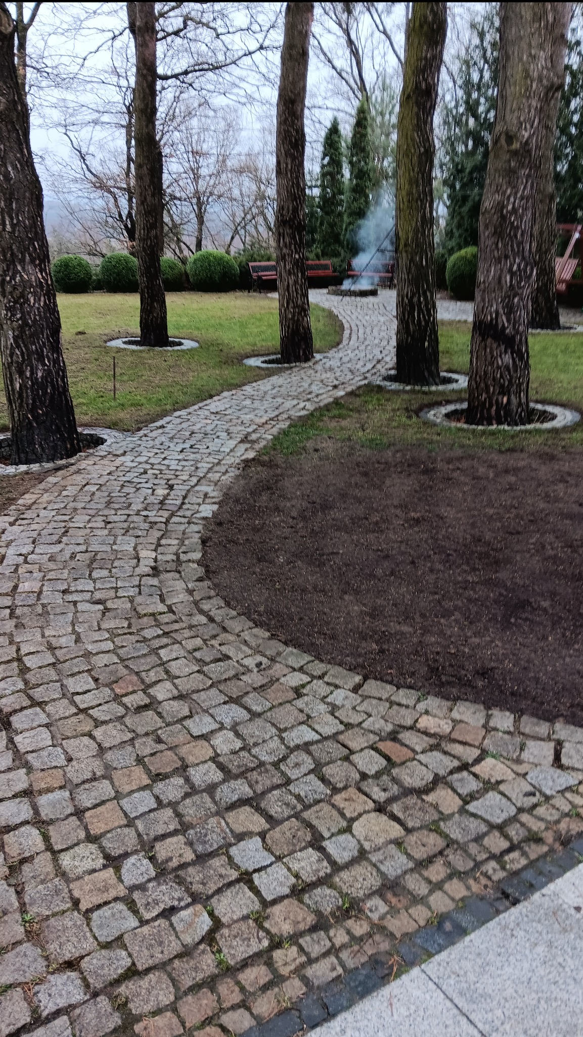 Czyszczenie kostki, dosiewanie trawnika