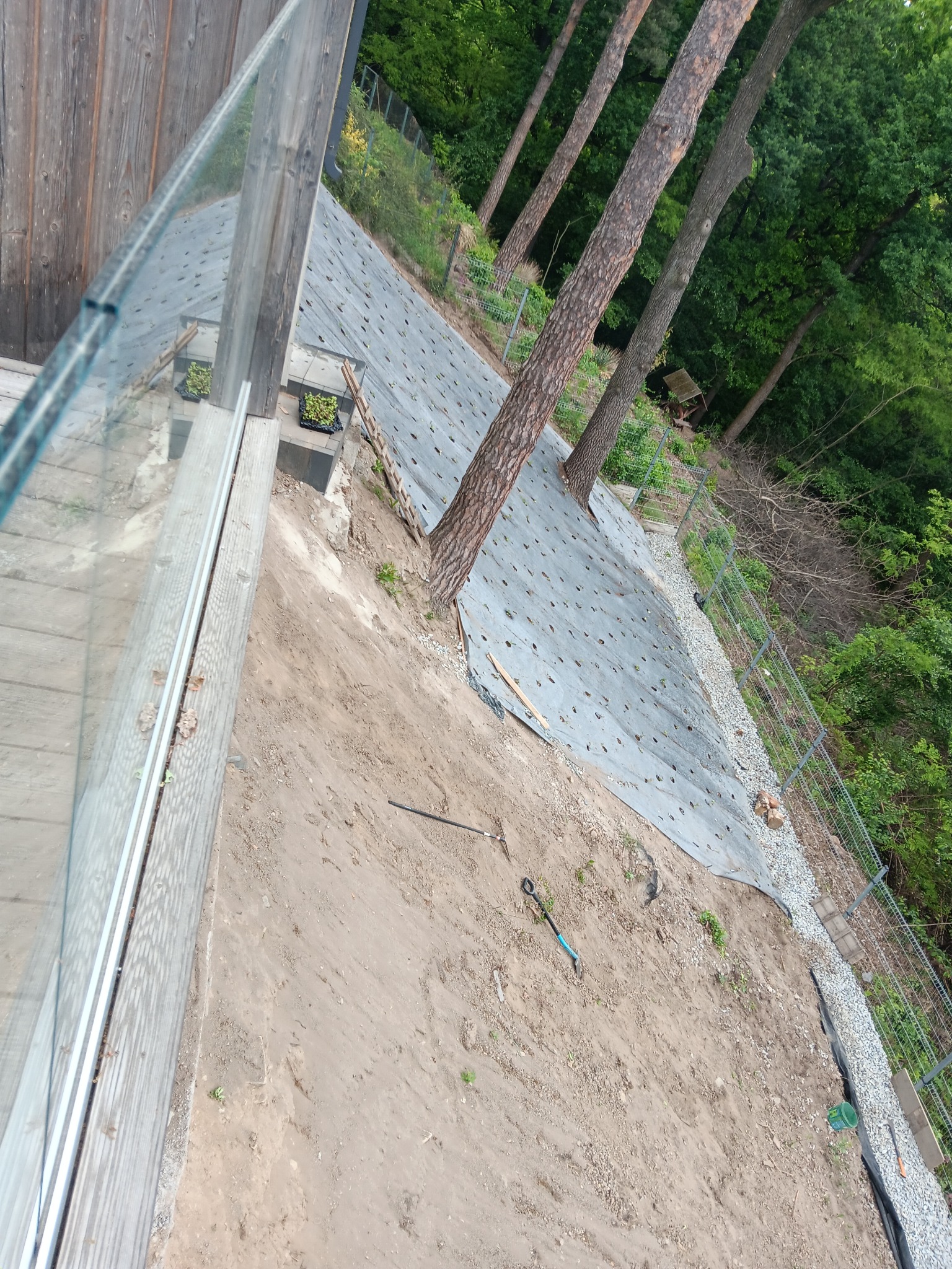 czyszczenie i obsadzanie skarpy