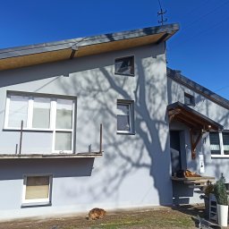 M&M HOUSE - Szary dom jednorodzinny po tynkowaniu elewacji w słoneczny dzień. Cień drzewa na ścianie, dwa psy: jeden na ganku, drugi na trawniku. Widoczne okna i zadaszenie nad wejściem.