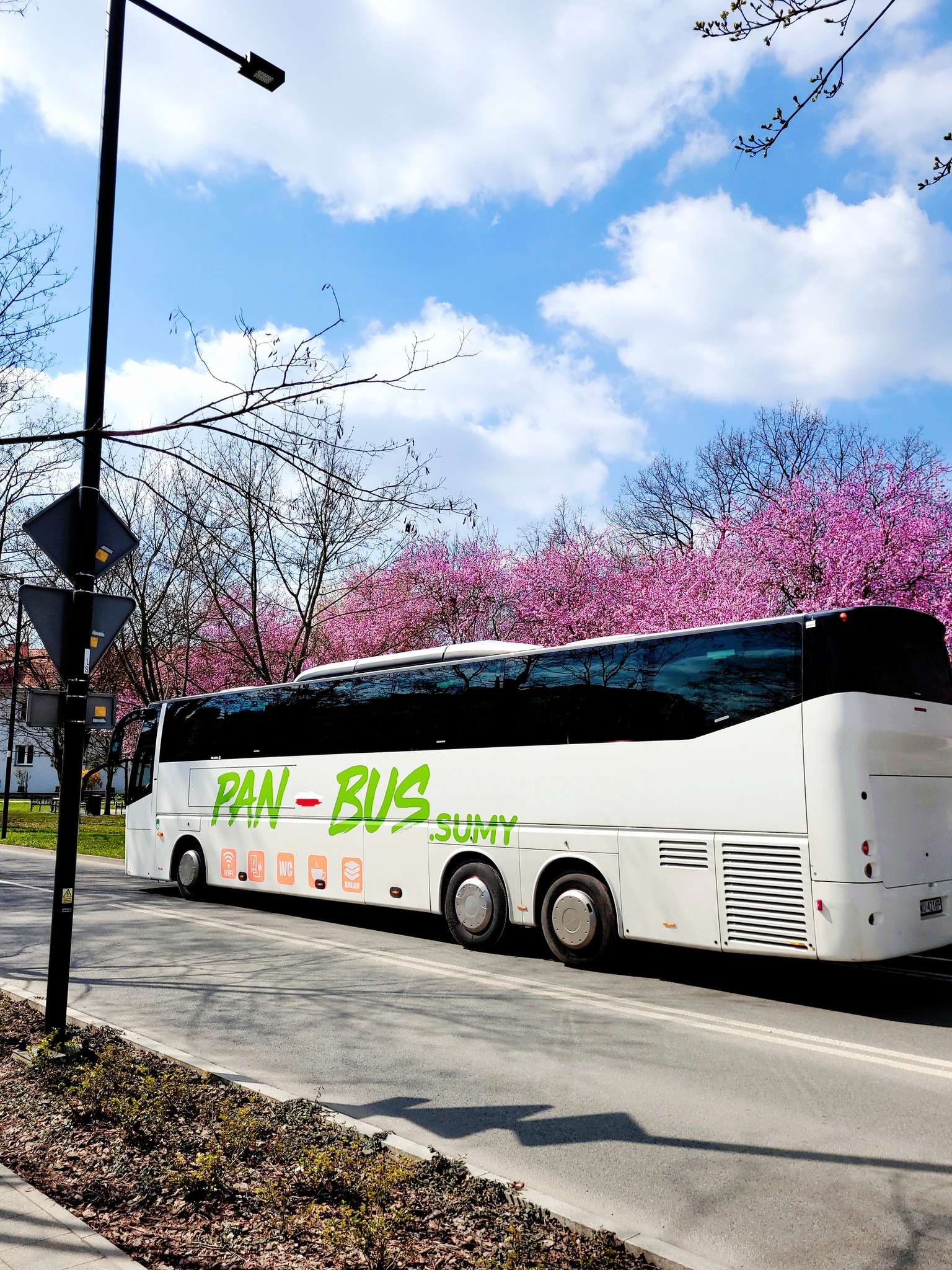 Biały autokar 'Pan-Bus Sumy' na drodze, w tle kwitnące różowe drzewa i błękitne niebo. Widoczny słup oświetleniowy i elementy miejskiej zieleni.