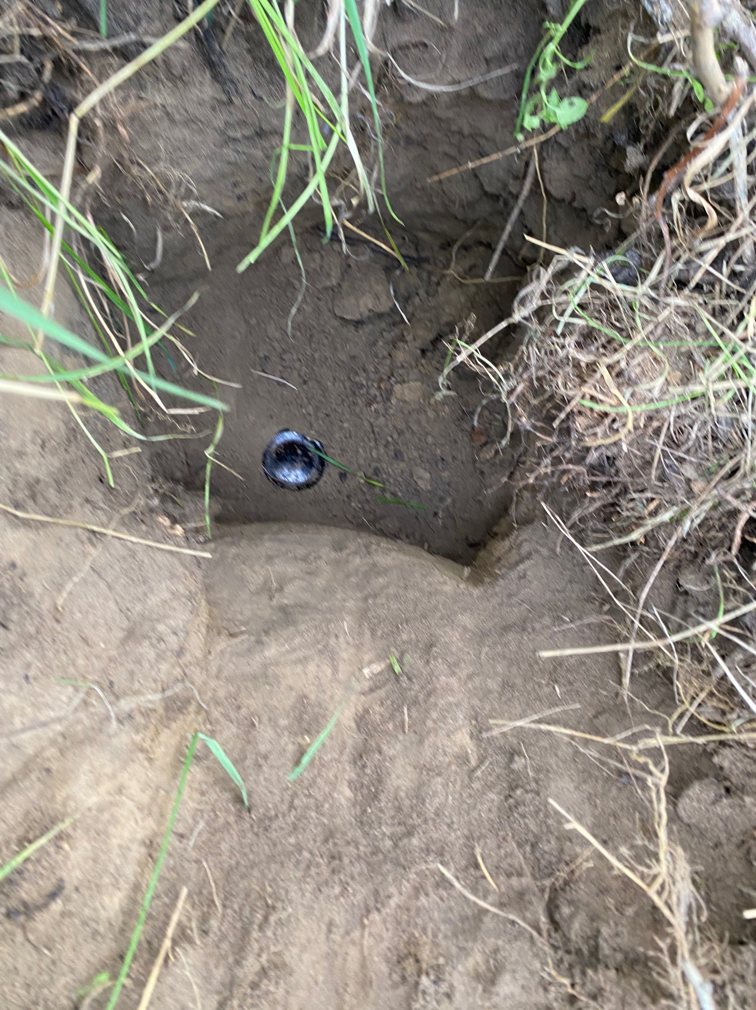 Punkt pomiarowy w wykopie ziemnym, otoczony trawą i korzeniami. Widoczny czarny element geodezyjny w zagłębieniu.