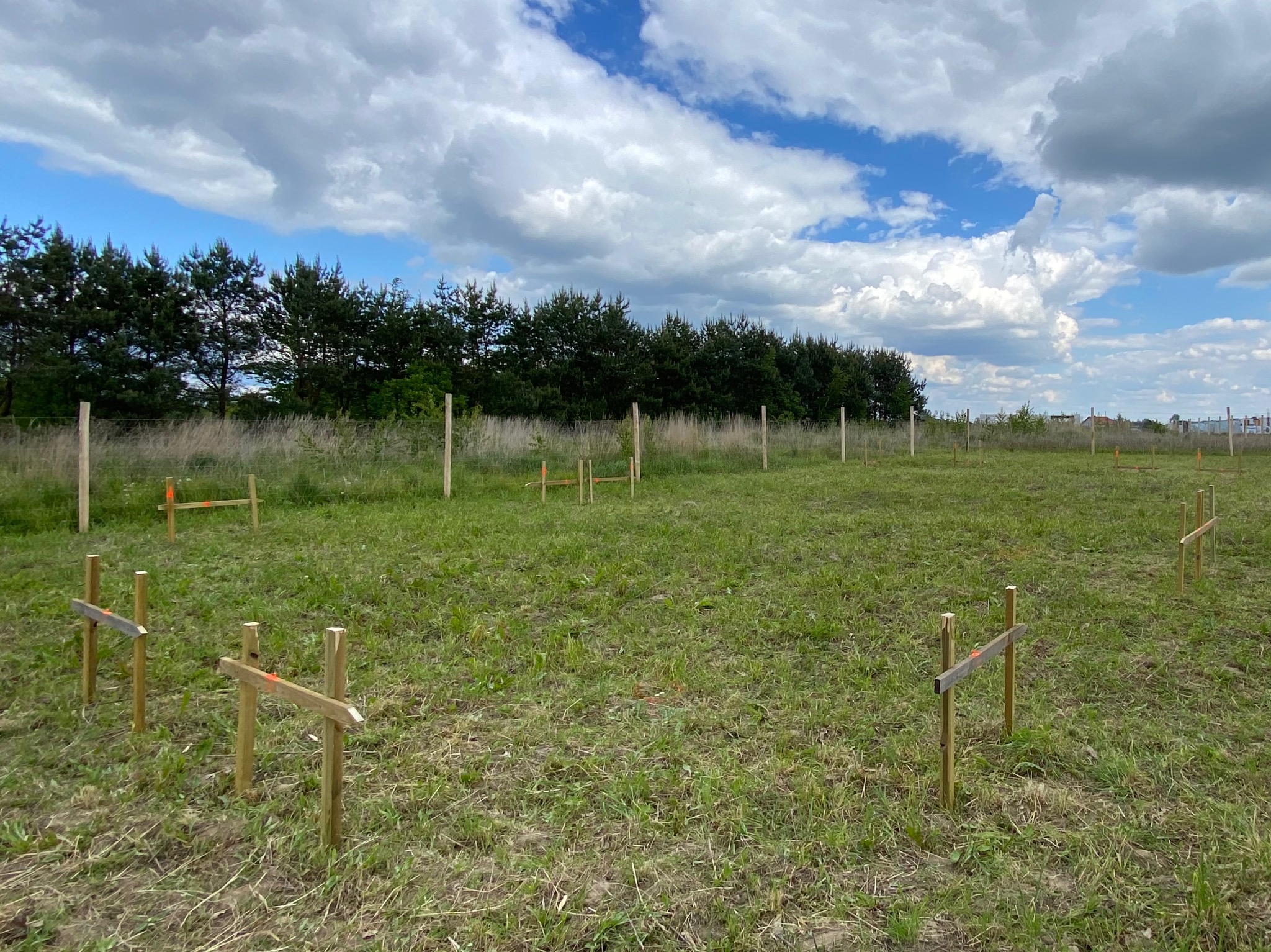 Wytyczony teren pod budowę z drewnianymi palikami i poprzeczkami, trawa, drzewa w tle, błękitne niebo z chmurami. Widok na działkę po pomiarach.
