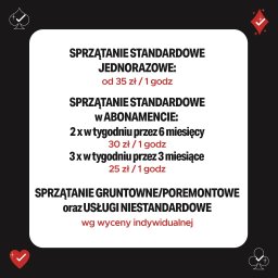 Sprzątanie mieszkań Rybnik 3