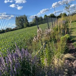 Zakładanie ogrodów Ruda Śląska 2