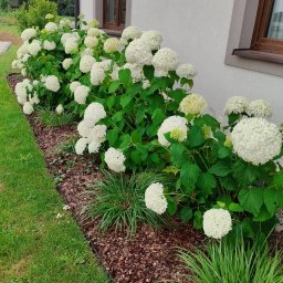 Zakładanie ogrodów Ruda Śląska 1