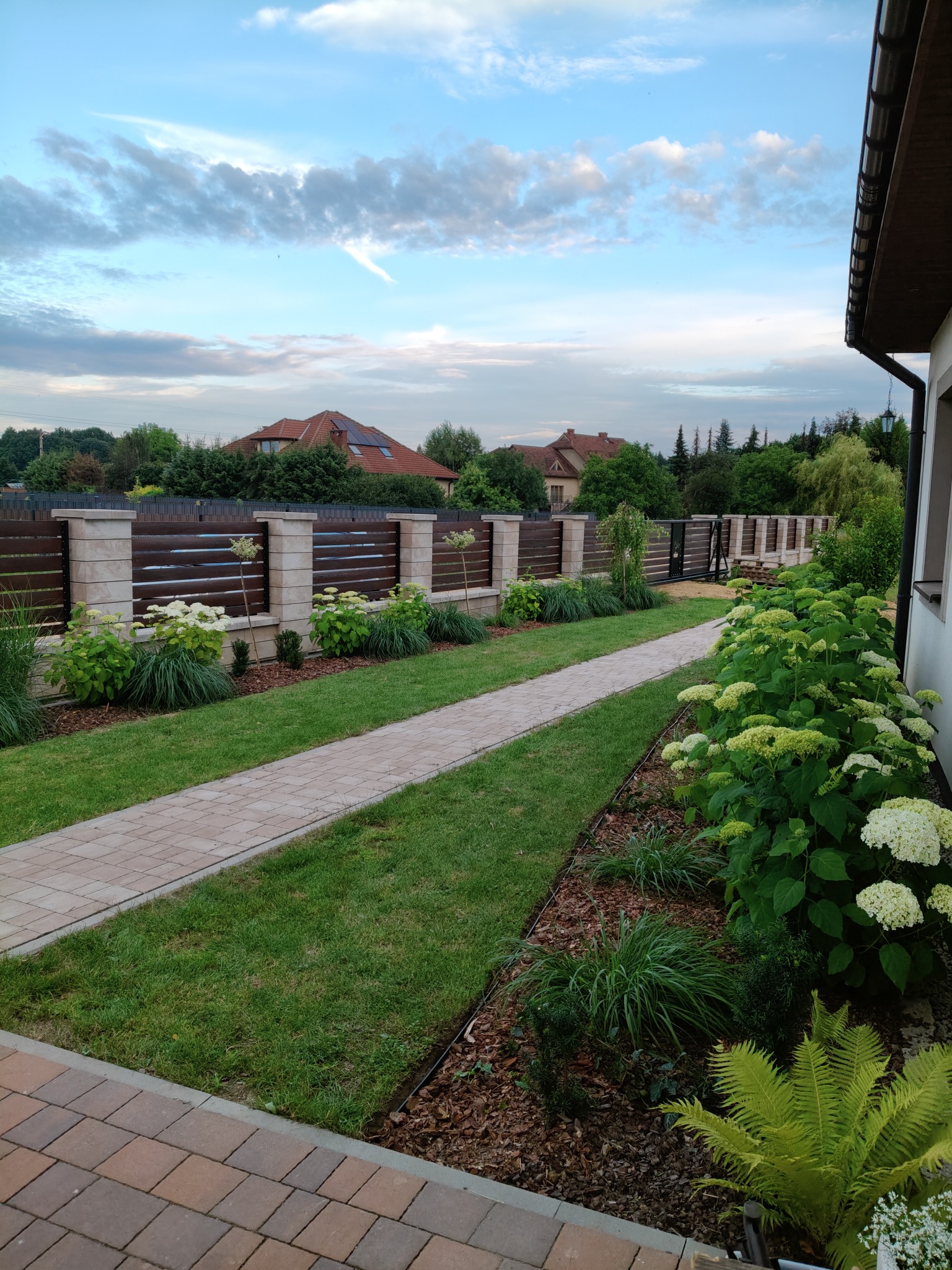 Uporządkowany ogród z ścieżką z kostki, rabatami z korą, hortensjami i ozdobnym ogrodzeniem z drewnianymi panelami w słoneczny dzień.