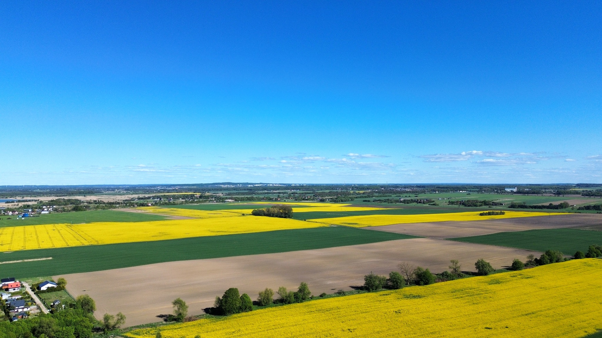 Panoramiczny widok z lotu ptaka na mozaikę pól uprawnych w słoneczny dzień. Żółte pola rzepaku kontrastują z zielenią i brązem ziemi. W tle widoczny horyzont.