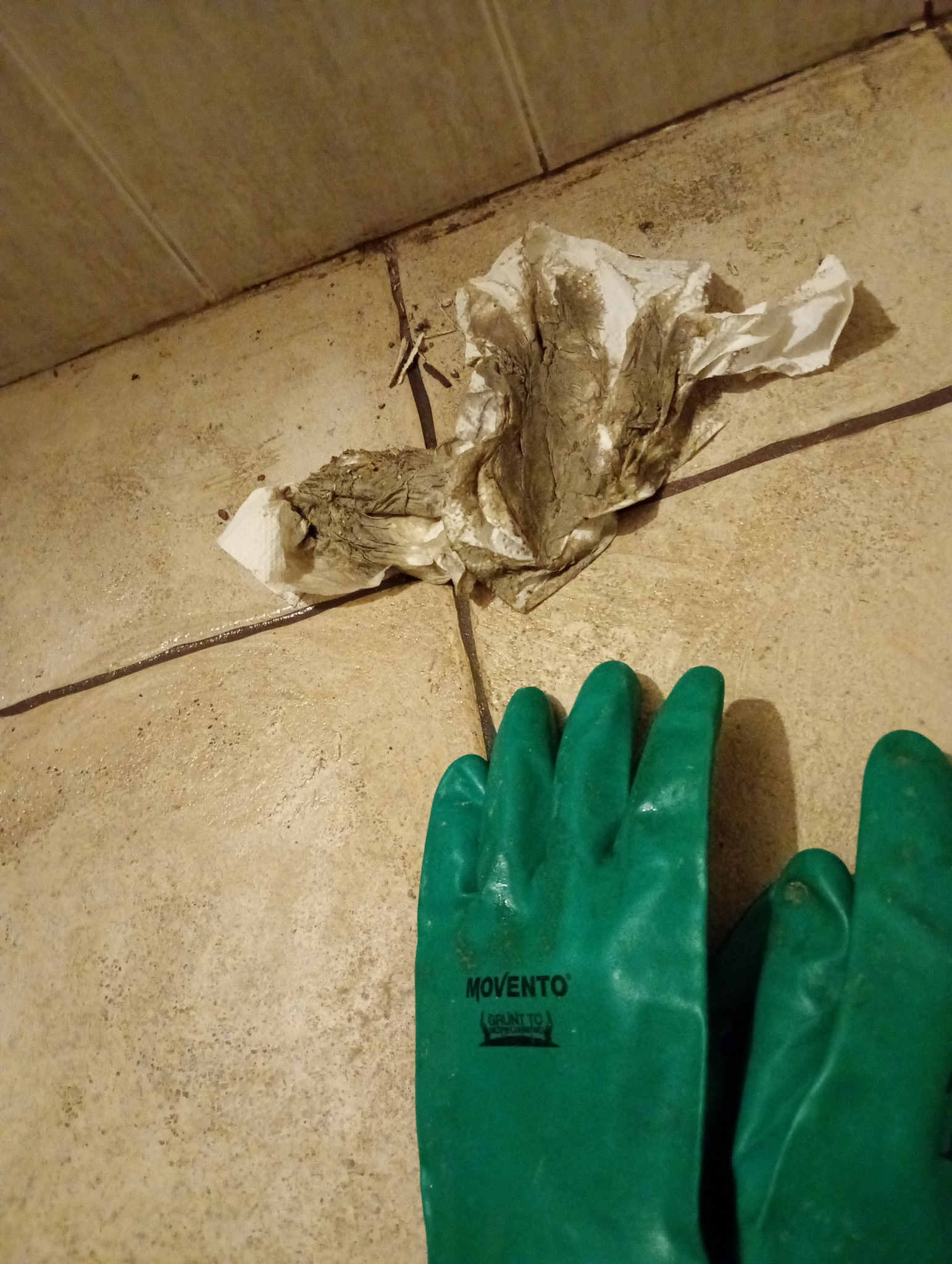 Brudna podłoga z płytek, zużyta chusteczka i zielone rękawice robocze Movento, ukazujące stan przed czyszczeniem lub remontem.