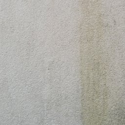 KRYPEZ - Fragment elewacji z wyraźną różnicą w czystości: lewa strona jasna, prawa z zielonymi zaciekami, ukazująca efekt czyszczenia.