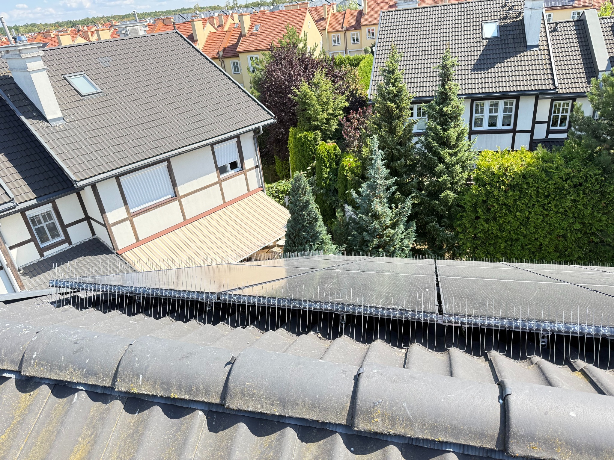 Montaż zabezpieczeń przeciw ptakom na panelach fotowoltaicznych – skuteczna ochrona instalacji.